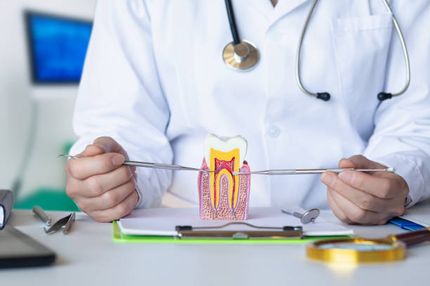 Best Root Canal Emergency Dentist  in Story City, IA